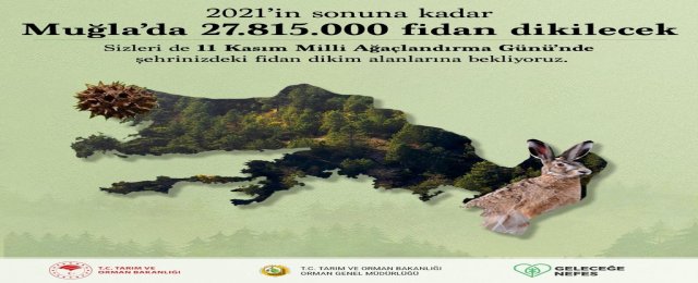 Ünlü şarkıcı hacı oldu