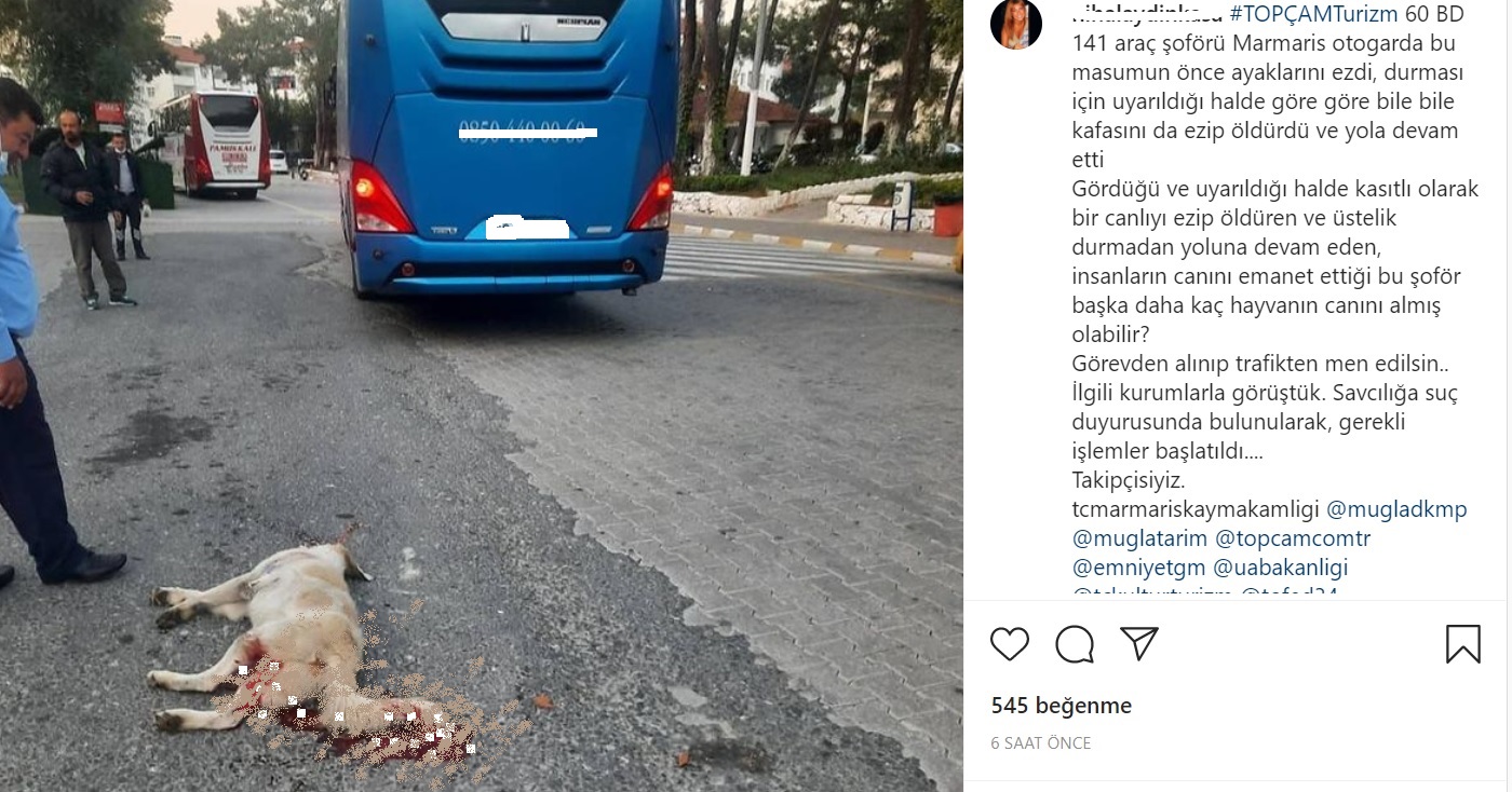 Sobotta Apple ilgili konuştu!
