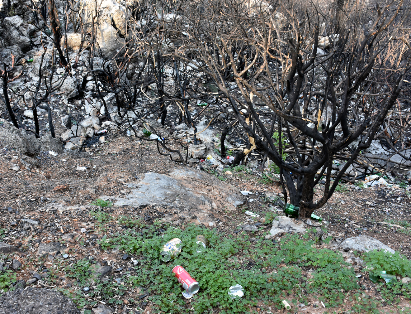 Gökçe; “Şiddeti Önleyecek Tedbirler Alınmalı”