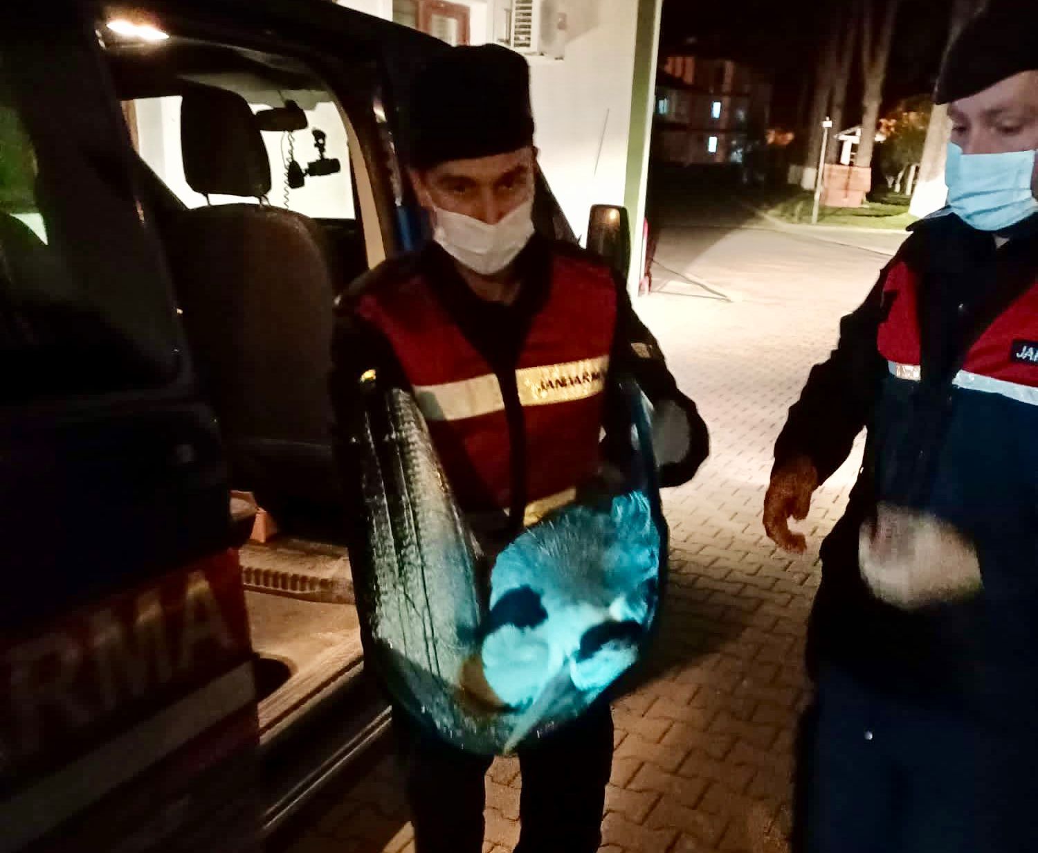 Gülenay için donör aranıyor….
