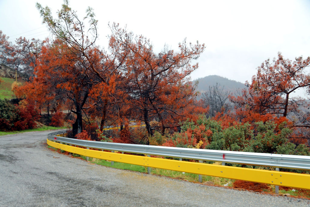Bursa Valisi’ne torpil kriz çıkardı!