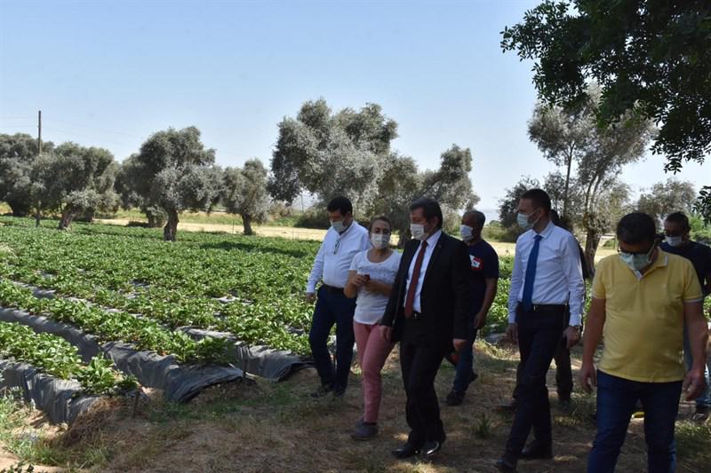 Harmancıkta trafik kazası: 1 ölü, 3 yaralı